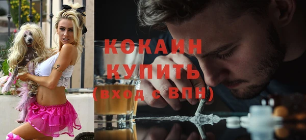 шишки Аркадак