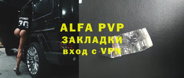 гашик Алексин