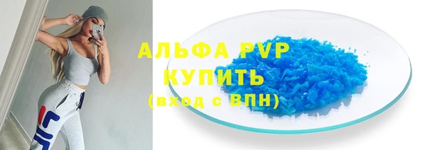 гашик Алексин