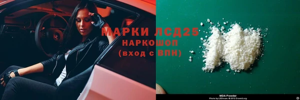гашик Алексин