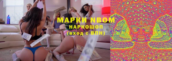 гашик Алексин