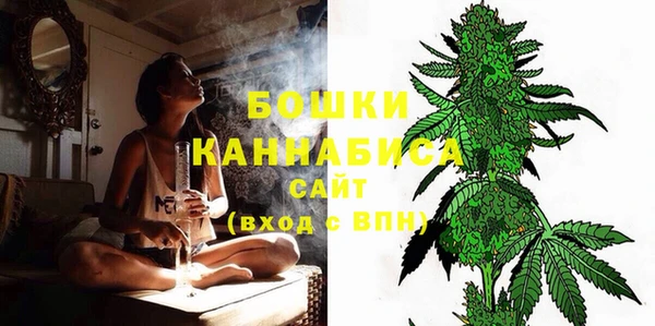 шишки Аркадак