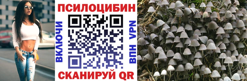 Галлюциногенные грибы Psilocybine cubensis  Волгоград 